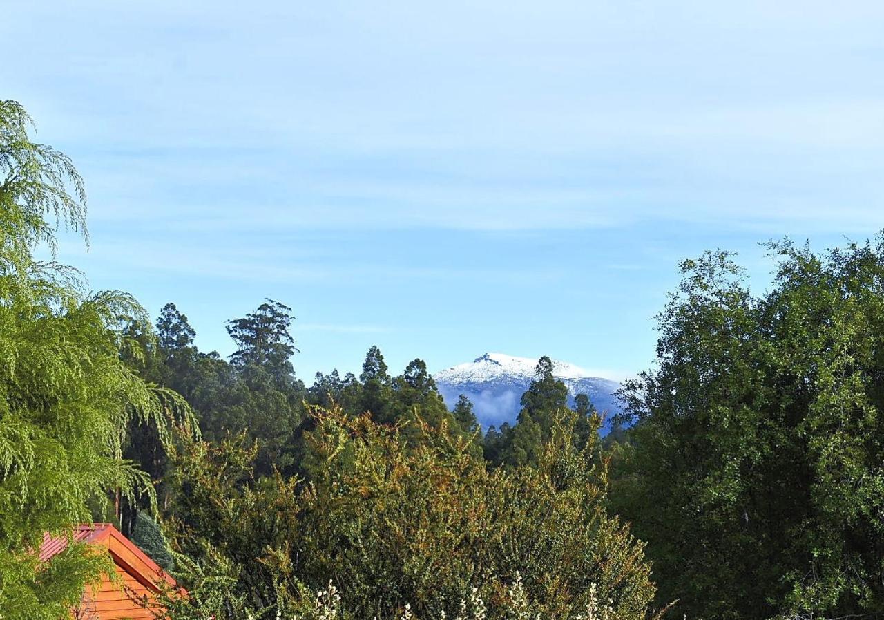 Maydena Mountain Cabins Εξωτερικό φωτογραφία