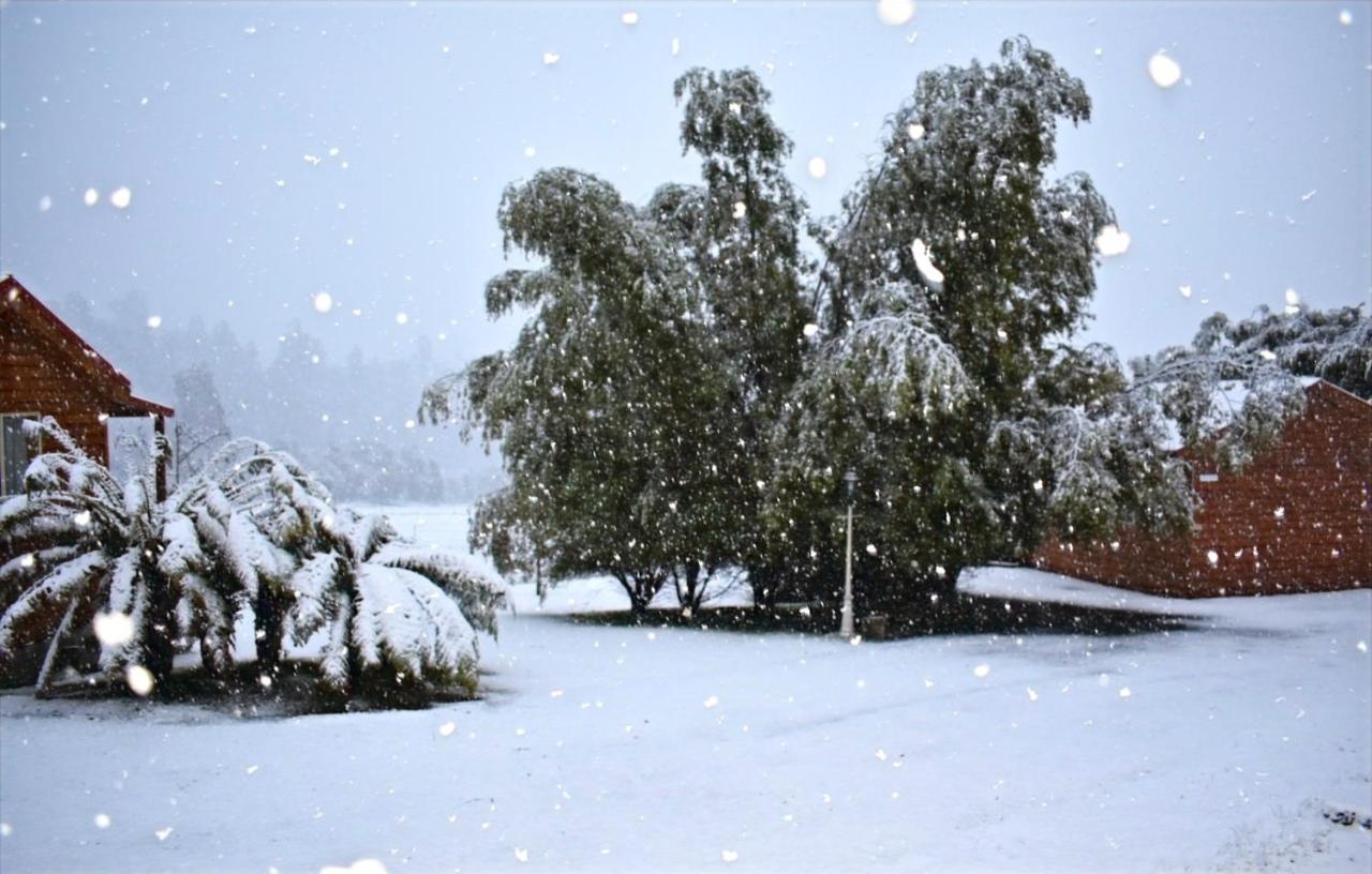 Maydena Mountain Cabins Εξωτερικό φωτογραφία