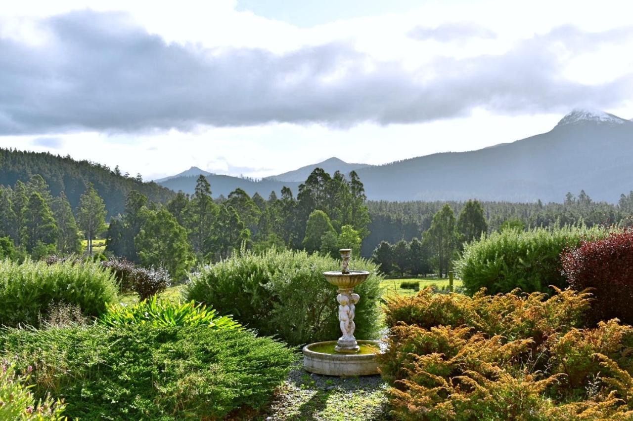 Maydena Mountain Cabins Εξωτερικό φωτογραφία