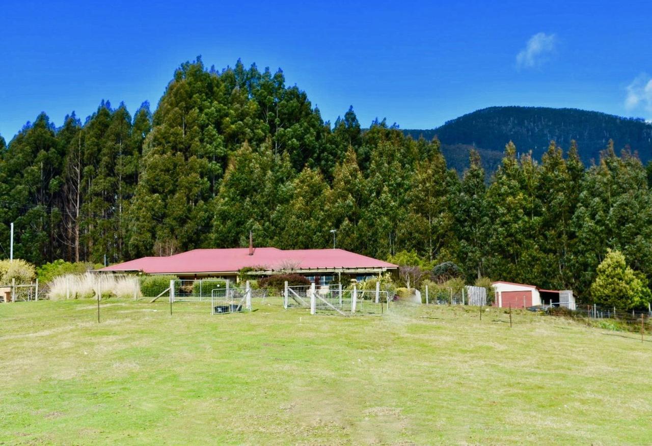 Maydena Mountain Cabins Εξωτερικό φωτογραφία